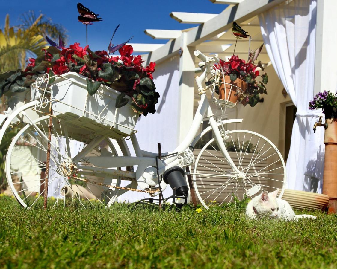 Apartamento Oasi Siciliana Terrasini Exterior foto